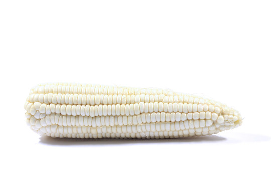 横放在白底上的新鲜白色玉米