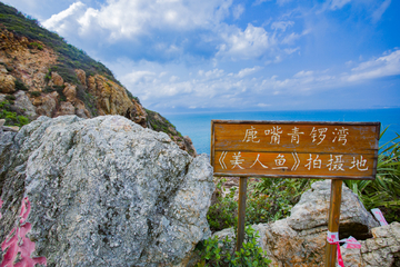 深圳杨梅坑鹿嘴山庄