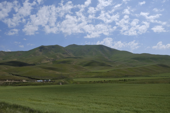 山丘