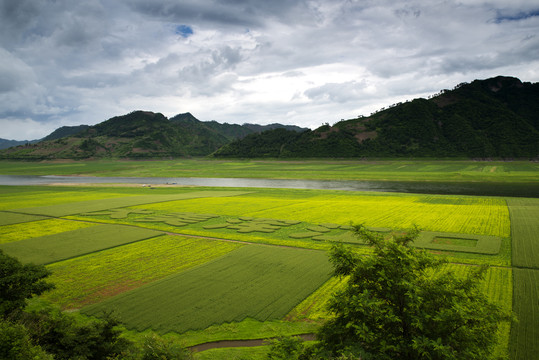 美丽田野