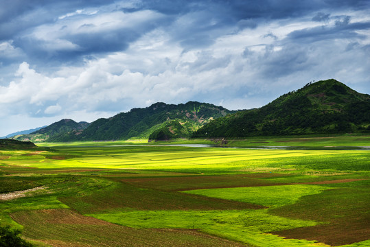 美丽的田野