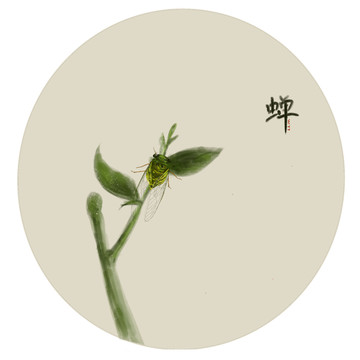 夏蟬