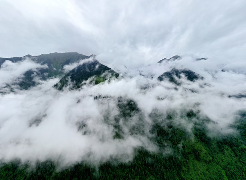 波密大山仙境5