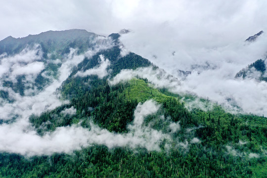 波密大山仙境11