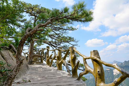 湖北天堂寨国家地质公园夏日风光