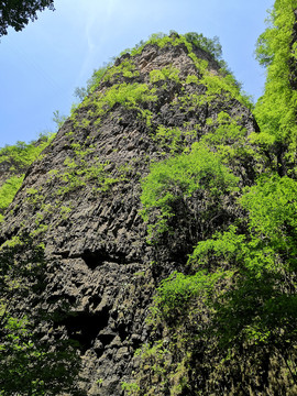 高山丘陵