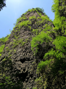 高山丘陵