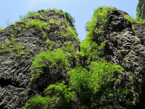 高山丘陵