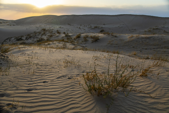 沙漠戈壁滩水土流失