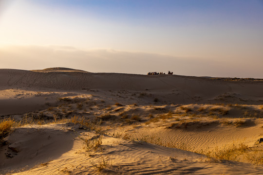 沙漠戈壁滩骆驼队