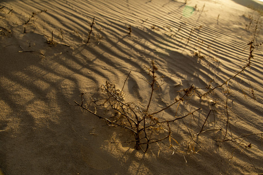 沙漠戈壁滩土地荒漠化水土流失