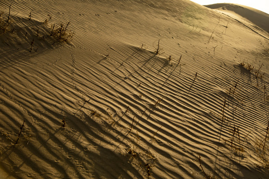 沙漠戈壁滩土地荒漠化水土流失