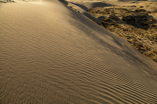 沙漠戈壁滩