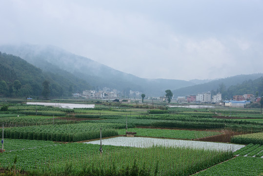 乡村风貌