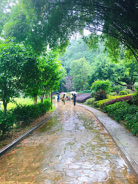 雨后爬山