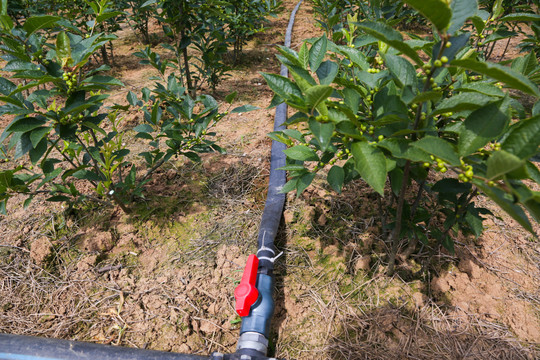 自动灌溉