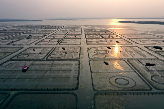 苏州阳澄湖大闸蟹养殖区夕阳西下