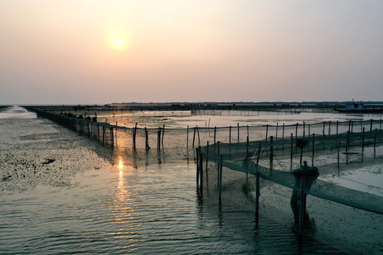 苏州阳澄湖大闸蟹养殖区