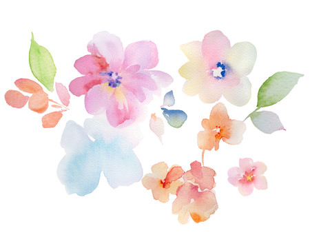 手绘水彩花卉素材设计