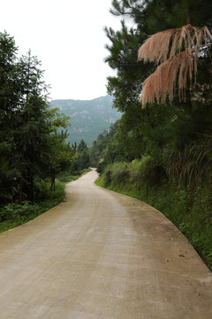 乡村公路