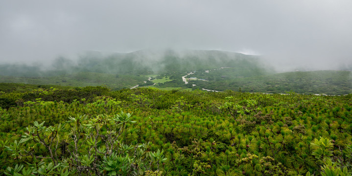 绿水青山