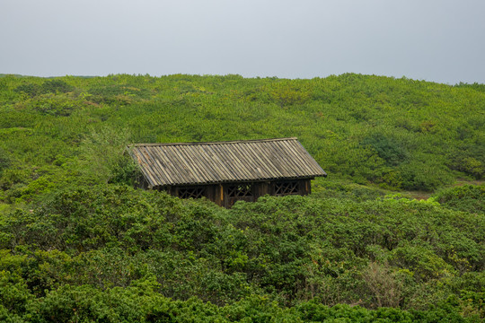 木屋