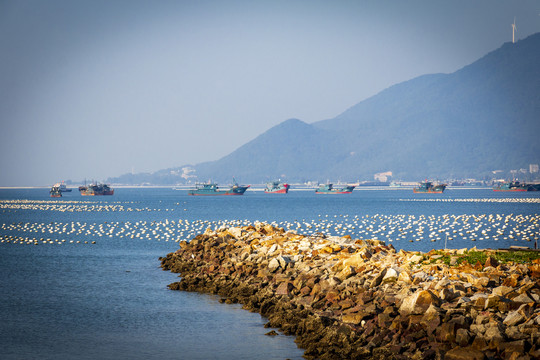 汕头南澳岛北侧碎石丁坝