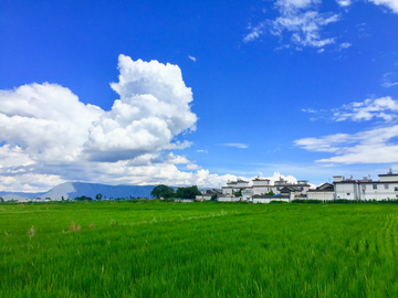 美丽田园