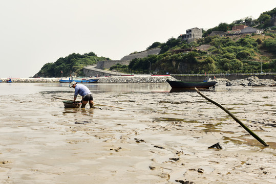 趕海