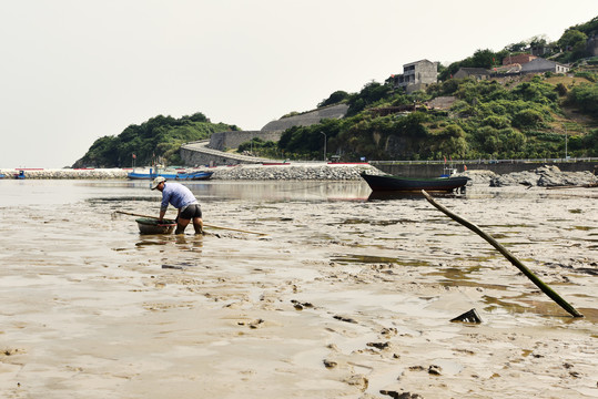 赶海