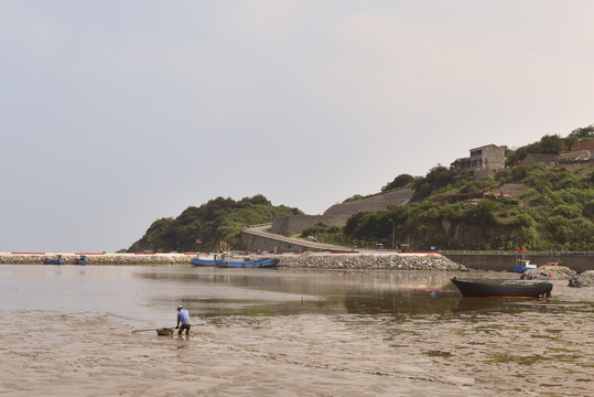 趕海