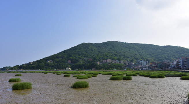 嵊泗縣洋山鎮風光
