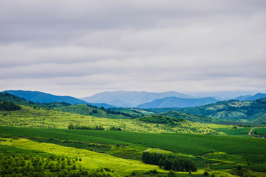 青山与田野