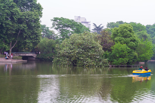 江苏常州红梅公园湖泊风光