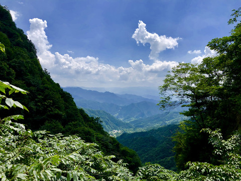 王顺山国家森林公园风光