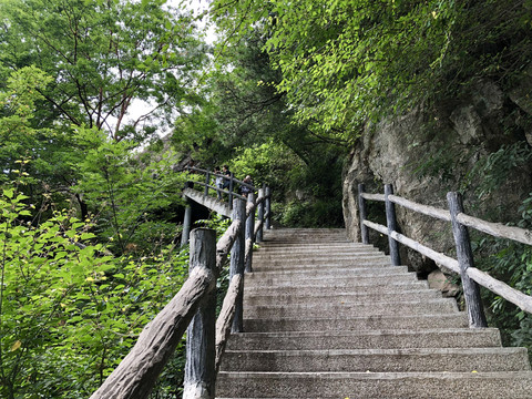 王顺山国家森林公园台阶