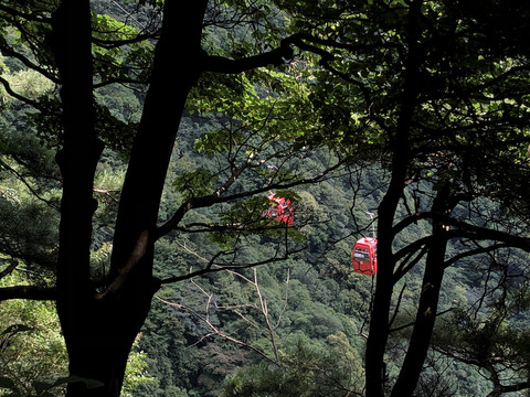 王顺山国家森林公园缆车观光