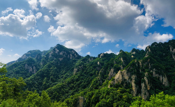 王顺山国家森林公园