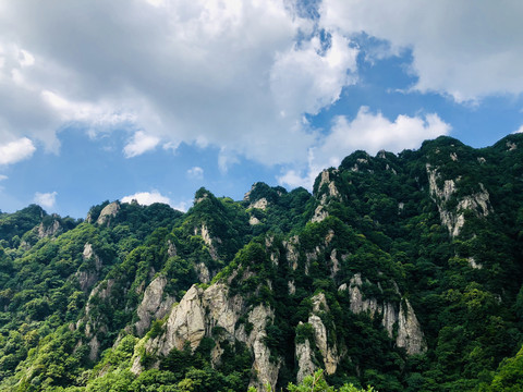 王顺山国家森林公园