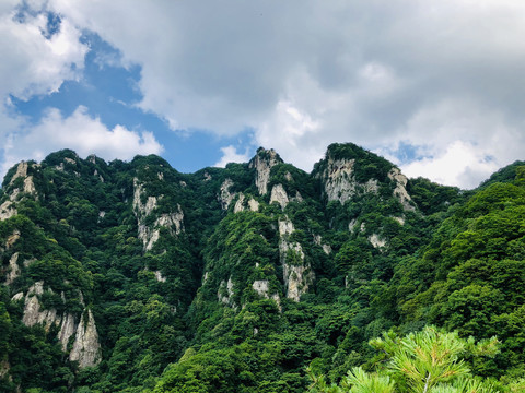 王顺山国家森林公园