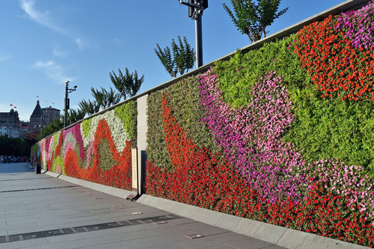 上海外滩花朵背景墙