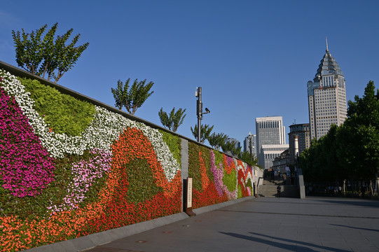 上海外滩的鲜花背景墙