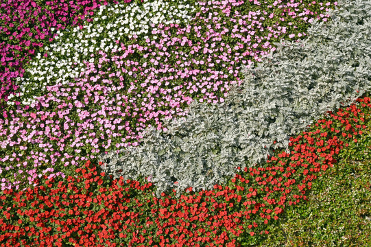 鲜花立体背景墙