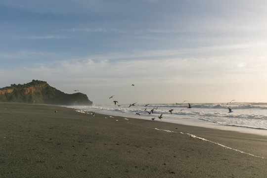 旧金山海岸