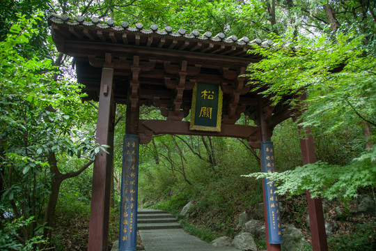 杭州天龙寺造像