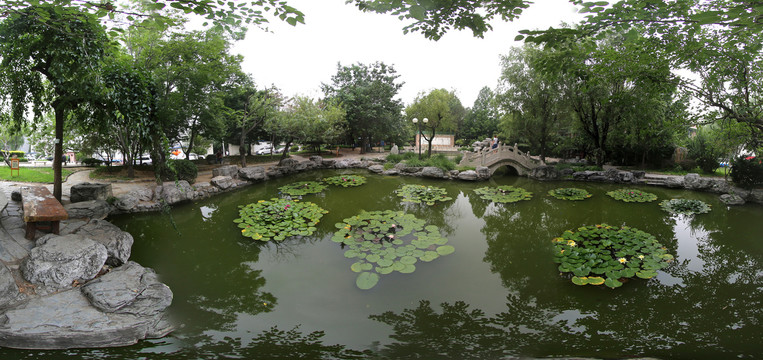 北语来园小池塘全景