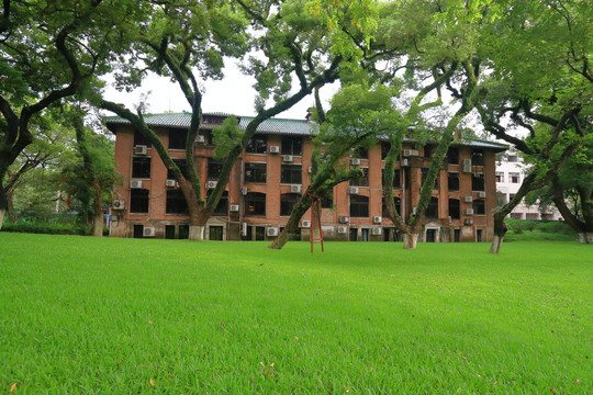 中山大学绿树草坪