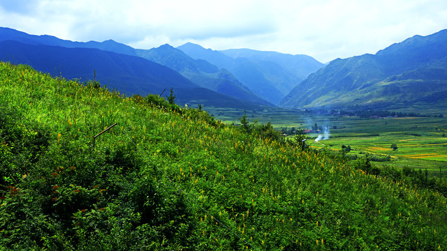 和政县法台山