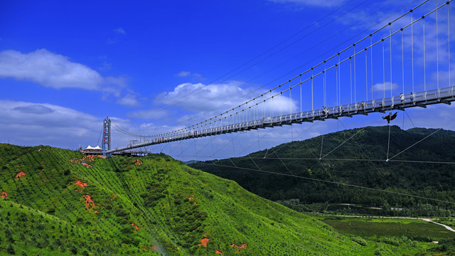 和政县法台山