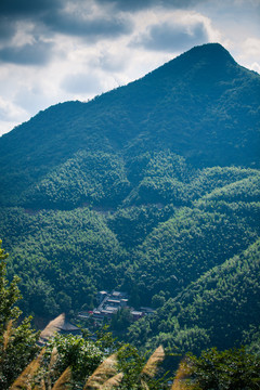 杨岐寺